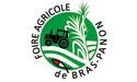 FOIRE AGRICOLE DE BRAS-PANON